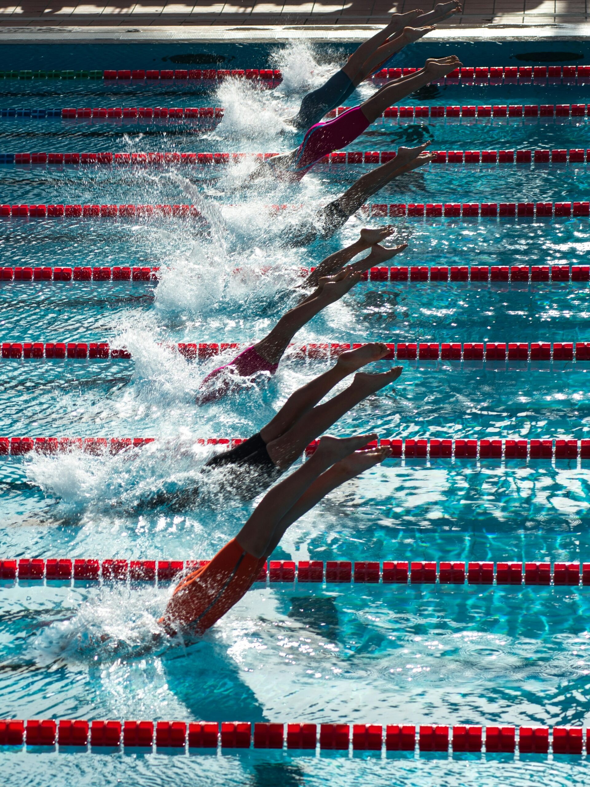 水中の競泳選手